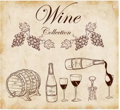 Vector illustration of a wine collection Stock Illustration