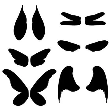 Vector illustration wings of different animals Stock Illustration