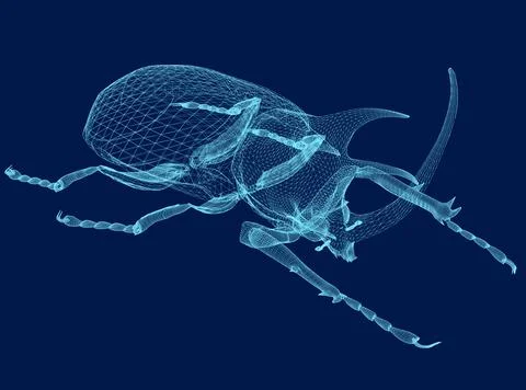 Vector illustration wireframe of rhinoceros beetle. 3D Stock Illustration