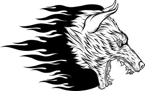 Vector illustration of Wolf head. Outlined drawing. Illustrazione stock