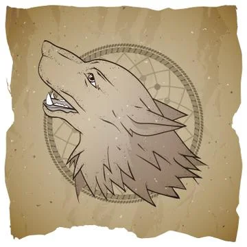 Vector illustration with wolf's head and dreamcatcher. Howling wolf. Stock Illustration