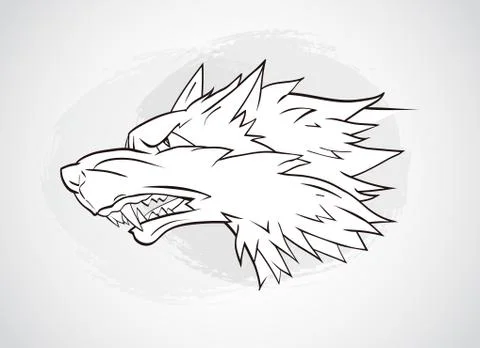 Vector illustration with wolf's head. Stock Illustration
