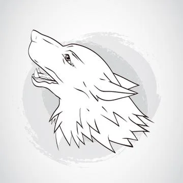 Vector illustration with wolf's head. Illustrazione stock