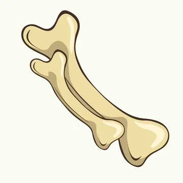 Vector illustration of yellow bones on a white background Stock Illustration