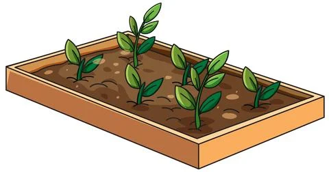 Vector Illustration of Young Green Plants Growing in a Wooden Seedling Tray Stock Illustration