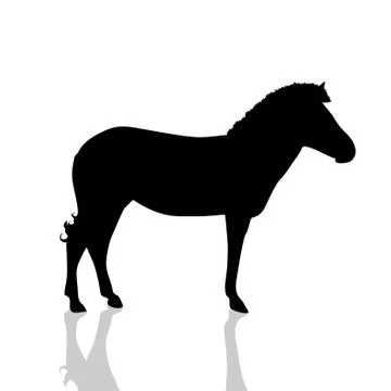 Vector illustration of a zebra. Stock Illustration