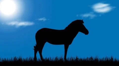 Vector illustration of a zebra. イラスト素材