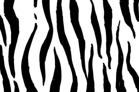 Vector illustration of a Zebra pattern, black curved vertical irregular stripes Illustrazione stock