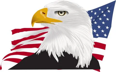 Vector Illustrations of bald eagle in front of American Flag Stock Illustration