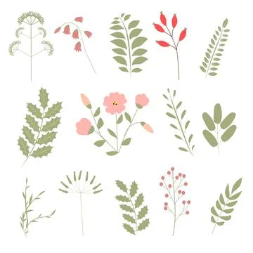 Vector illustrations. Botanical clipart. Set of Green leaves, herbs and branc Stock Illustration