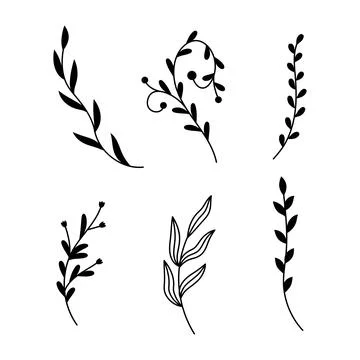 Vector illustrations of branches and leaves. Hand drawn black floral elements Stock Illustration