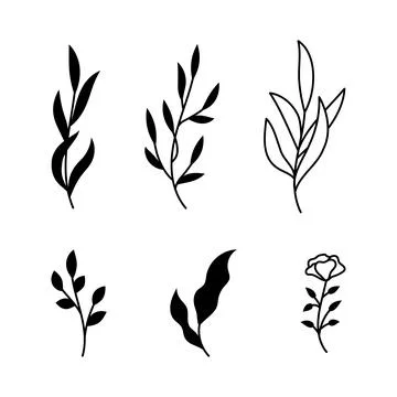 Vector illustrations of branches and leaves. Hand drawn black floral elements Stock Illustration