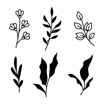 Vector illustrations of branches and leaves. Hand drawn black floral elements Stock Illustration