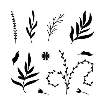 Vector illustrations of branches and leaves. Hand drawn black floral elements Stock Illustration