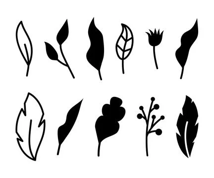 Vector illustrations of branches, flower and leaves. Hand drawn black floral  Stock Illustration
