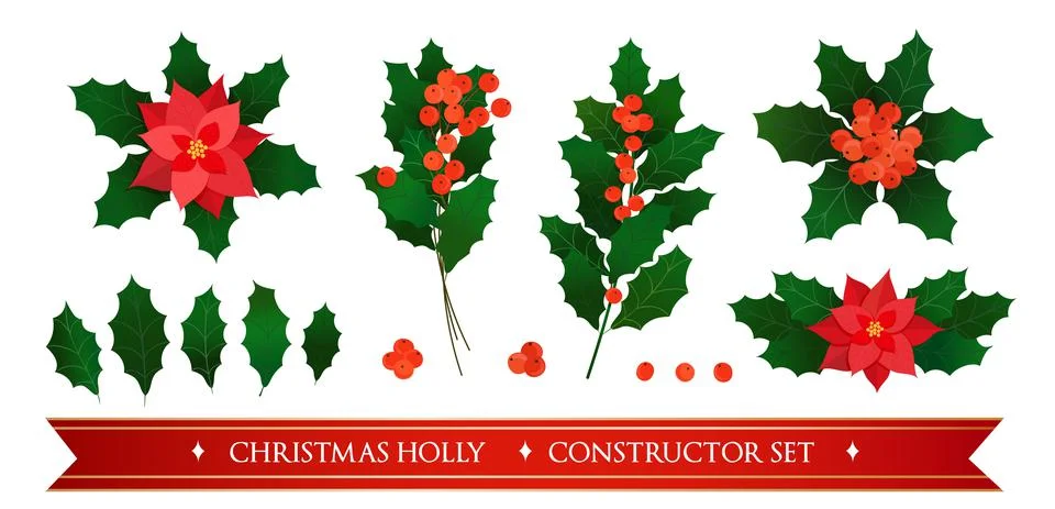 Vector illustrations of christmas plants elements. Constructor set of holiday Illustrazione stock