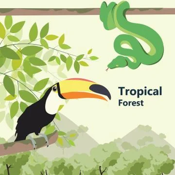 Vector illustrations  Eco style life forest Wildlife. Forest Stock Illustration