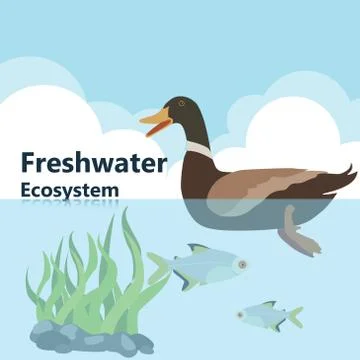 Vector illustrations  Eco style life forest Wildlife. Forest Stock Illustration
