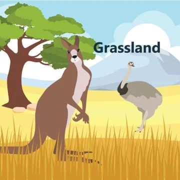 Vector illustrations  Eco style life forest Wildlife. Forest Stock Illustration
