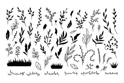 Vector illustrations of florals, branches, flowers and leaves set. Hand drawn Stock Illustration