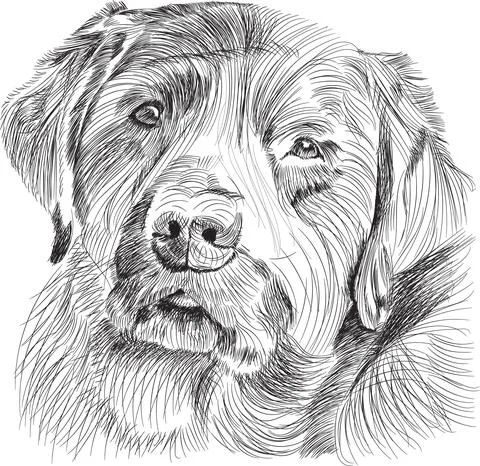 Vector Illustrations Stock Illustration