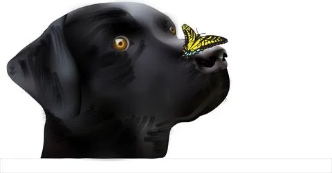 Vector Illustrations Stock Illustration