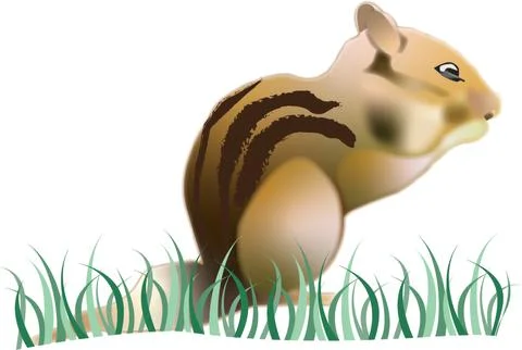 Vector Illustrations Stock Illustration