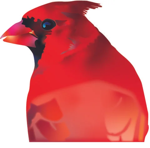 Vector Illustrations Stock Illustration