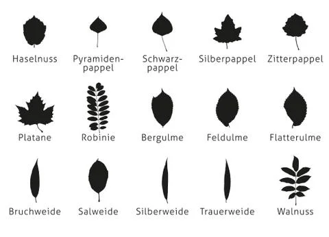 Vector illustrations of a many foliage leaves isolated Stock Illustration