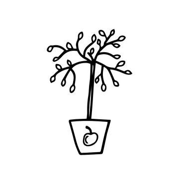 Vector illustrations seedling apple trees, hand drawn, doodle Stock Illustration