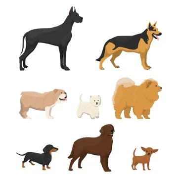 Vector illustrations set of different kinds of dog Stock Illustration