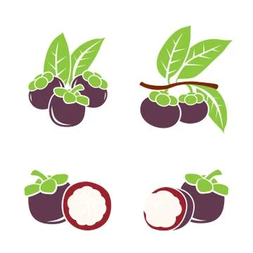 Vector IllustrationsFresh Mangosteen on a white background. Stock Illustration