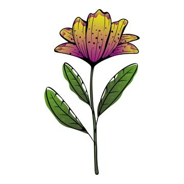 Vector image of abstract amaryllis flower Stock Illustration
