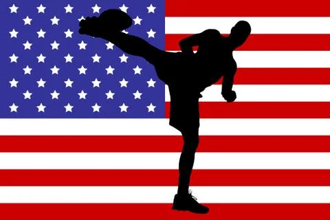 Vector image of the American flag. Stock Illustration