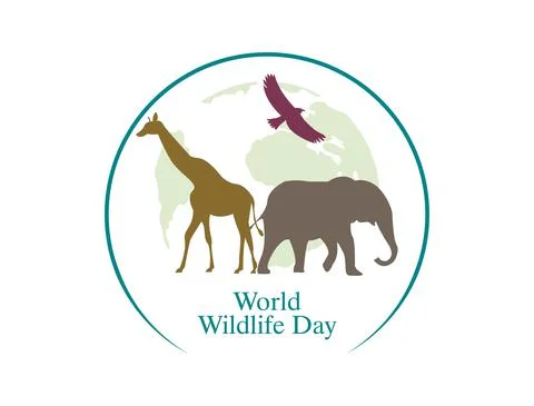 Vector image of an animal groups. Wildlife. World Animal Day Stock Illustration