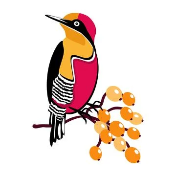 Vector image of a beautiful bird on a branch with berries on a white Stock Illustration