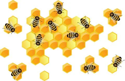 Vector image of bee honeycombs and bees working on them. Stock Illustration