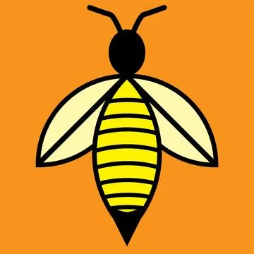Vector image of a bee on an orange background Stock Illustration