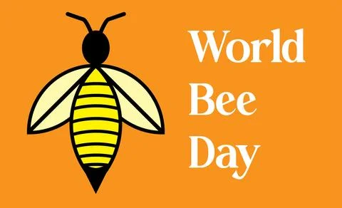 Vector image of a bee on an orange background Stock Illustration