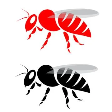 Vector image of an beel on white background Stock Illustration