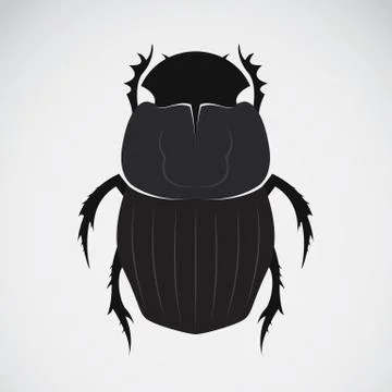 Vector image of an beetle Stock Illustration