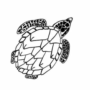 Vector image of a big turtle. Coloring book for children and adults. Stock Illustration