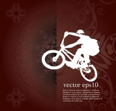 Vector image of BMX cyclist Stock Illustration