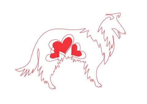 Vector image of an border collie dog on white background. Illustrazione stock