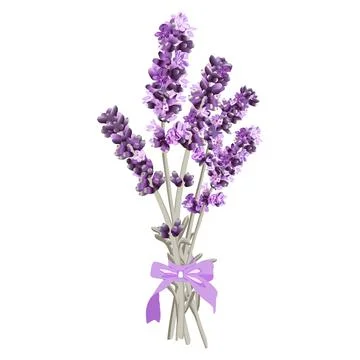 Vector image of a bouquet of lavender with a bow in bright purple tones Stock Illustration