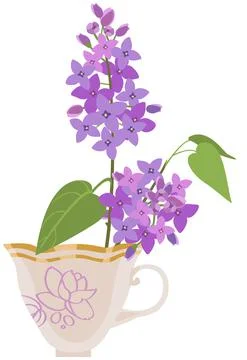 Vector image of a branch of blooming lilacs in a tea cup Stock Illustration