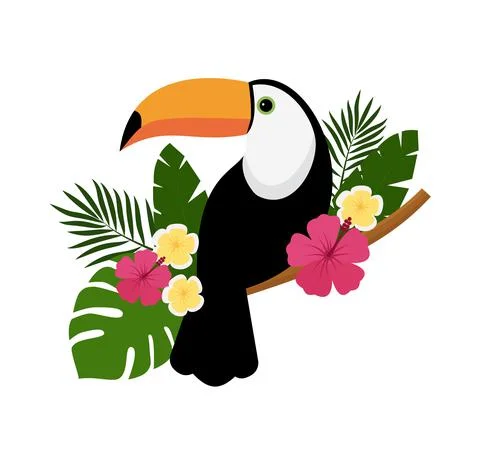 Vector image of a bright tropical Toucan bird on a white background. Colorful 스톡 일러스트