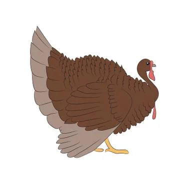 Vector image of a brown turkey, vector, white background Illustrazione stock