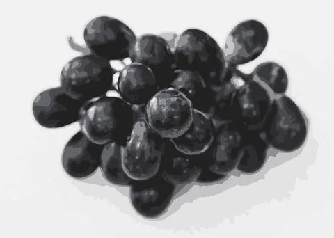 Vector Image of bunch of black grapes Stock Illustration