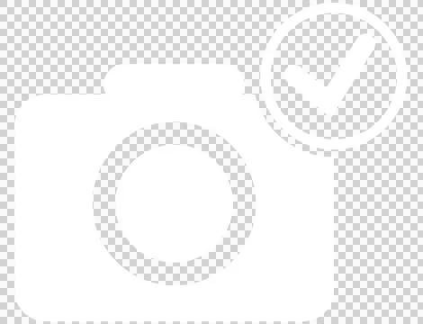 Vector image of camera with tick mark Stock Photos